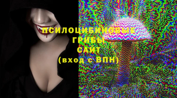 дживик Баксан
