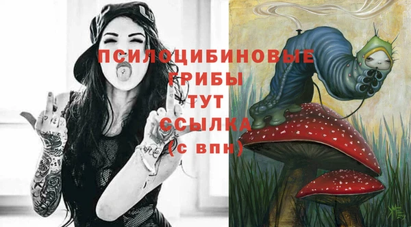 ПСИЛОЦИБИНОВЫЕ ГРИБЫ Балабаново