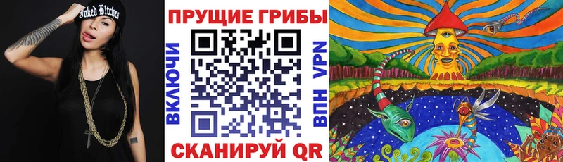 Псилоцибиновые грибы Cubensis  KRAKEN ссылки  Борисоглебск 