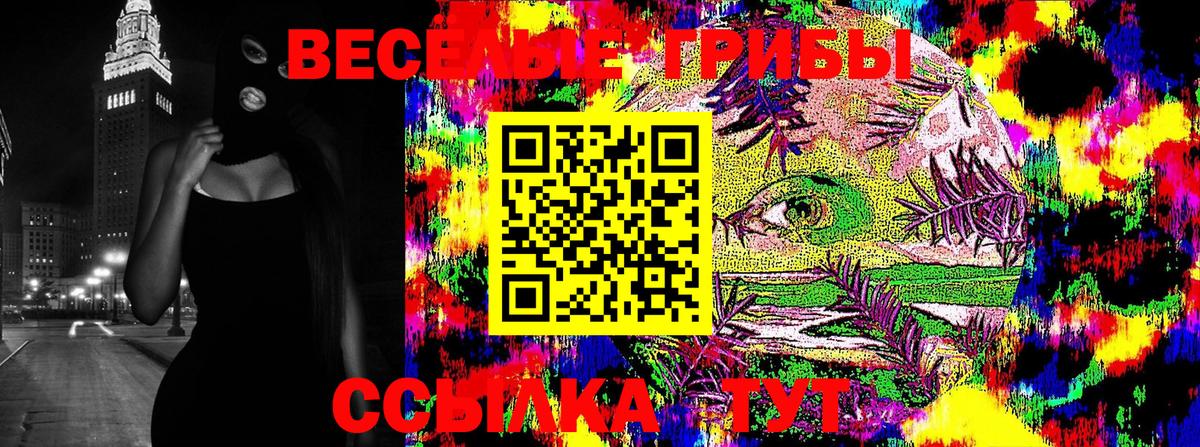 Галлюциногенные грибы Psilocybine cubensis  Вход с VPN  Борисоглебск 
